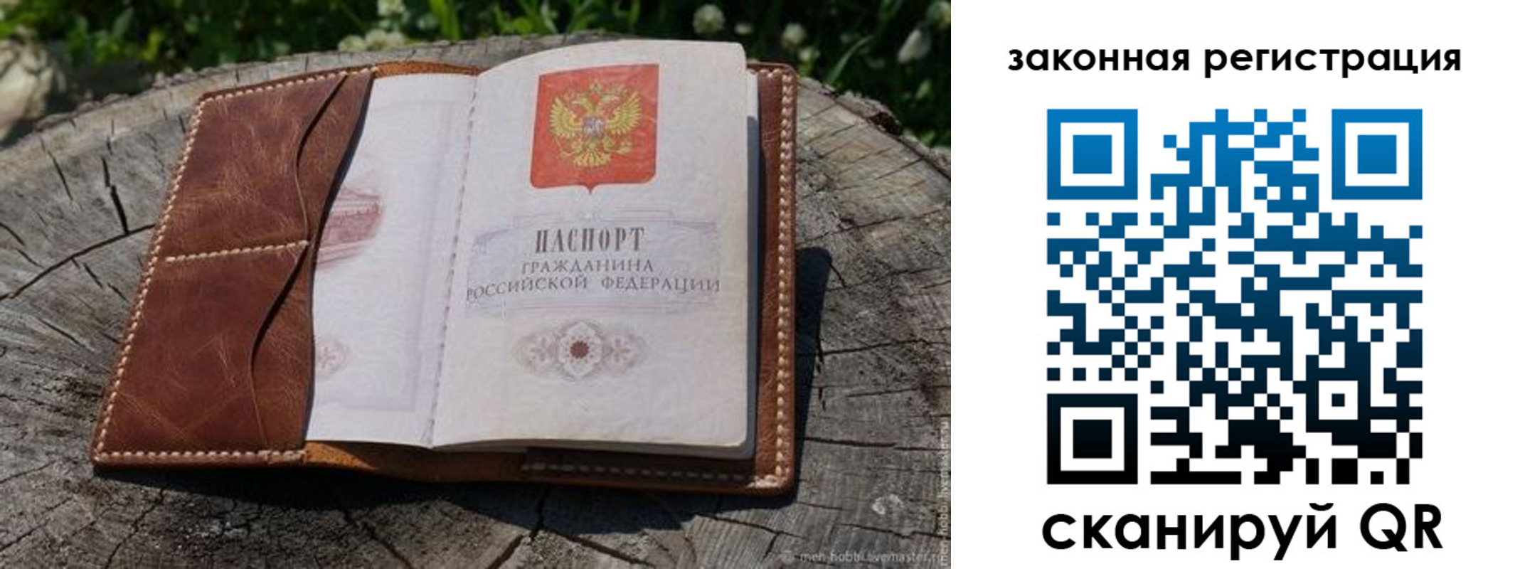 прописка в Ермолино